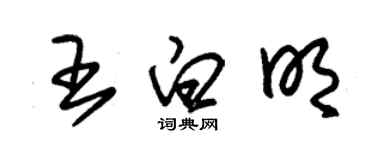 朱锡荣王白明草书个性签名怎么写