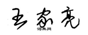朱锡荣王家亮草书个性签名怎么写