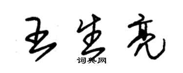 朱锡荣王生亮草书个性签名怎么写