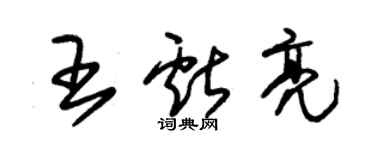 朱锡荣王献亮草书个性签名怎么写