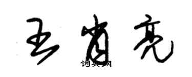 朱锡荣王肖亮草书个性签名怎么写