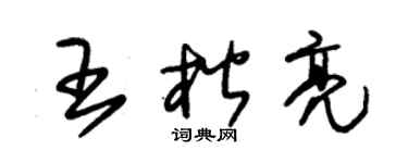 朱锡荣王楷亮草书个性签名怎么写