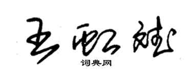 朱锡荣王虹斌草书个性签名怎么写