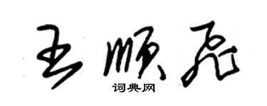 朱锡荣王顺飞草书个性签名怎么写