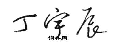 骆恒光丁宇辰草书个性签名怎么写