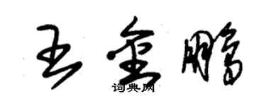 朱锡荣王金鹏草书个性签名怎么写