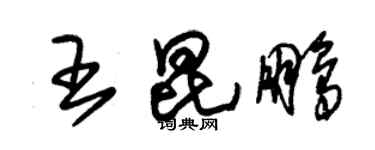 朱锡荣王昆鹏草书个性签名怎么写