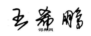 朱锡荣王希鹏草书个性签名怎么写