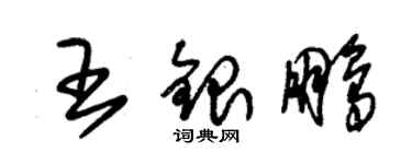 朱锡荣王银鹏草书个性签名怎么写
