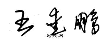 朱锡荣王爱鹏草书个性签名怎么写