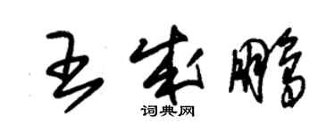 朱锡荣王成鹏草书个性签名怎么写