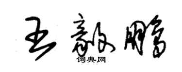 朱锡荣王毅鹏草书个性签名怎么写