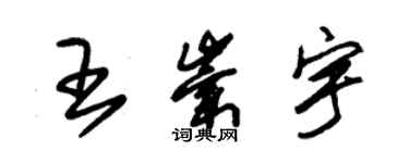 朱锡荣王崇宇草书个性签名怎么写