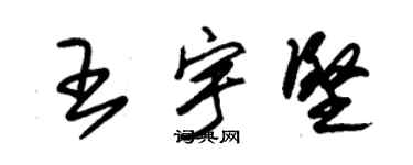 朱锡荣王宇坚草书个性签名怎么写