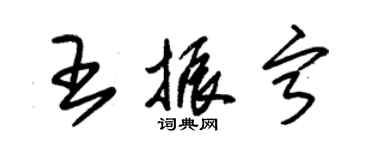 朱锡荣王振宁草书个性签名怎么写