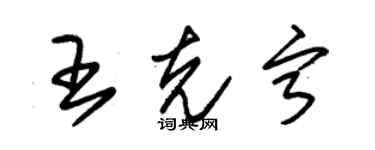 朱锡荣王克宁草书个性签名怎么写