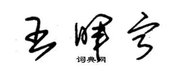 朱锡荣王晖宁草书个性签名怎么写