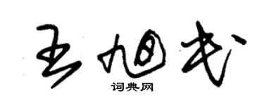 朱锡荣王旭民草书个性签名怎么写
