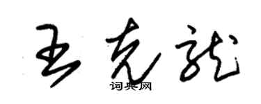 朱锡荣王克龙草书个性签名怎么写