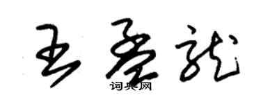 朱锡荣王孟龙草书个性签名怎么写