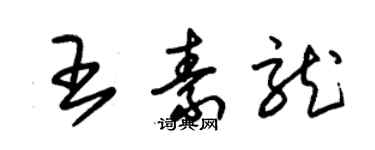 朱锡荣王素龙草书个性签名怎么写