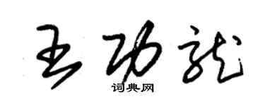 朱锡荣王功龙草书个性签名怎么写