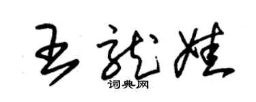 朱锡荣王龙娃草书个性签名怎么写