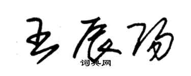 朱锡荣王辰阳草书个性签名怎么写