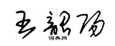 朱锡荣王韶阳草书个性签名怎么写