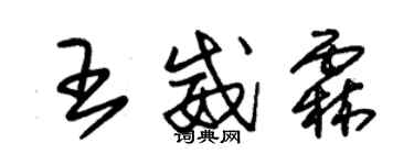 朱锡荣王威霖草书个性签名怎么写