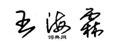 朱锡荣王海霖草书个性签名怎么写