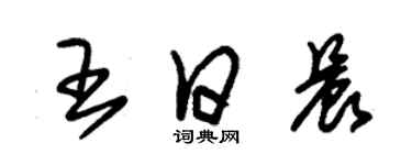 朱锡荣王日晨草书个性签名怎么写