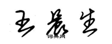 朱锡荣王晨生草书个性签名怎么写