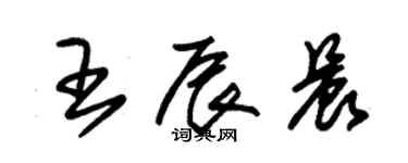 朱锡荣王辰晨草书个性签名怎么写