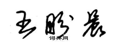 朱锡荣王盼晨草书个性签名怎么写