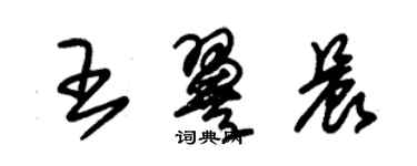 朱锡荣王翼晨草书个性签名怎么写