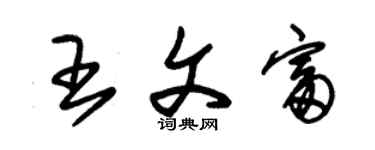 朱锡荣王文富草书个性签名怎么写