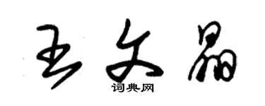 朱锡荣王文晶草书个性签名怎么写
