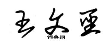 朱锡荣王文圣草书个性签名怎么写