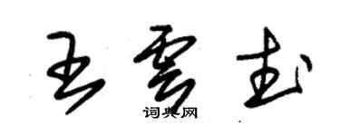 朱锡荣王云武草书个性签名怎么写