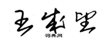 朱锡荣王成望草书个性签名怎么写
