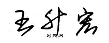 朱锡荣王升宏草书个性签名怎么写
