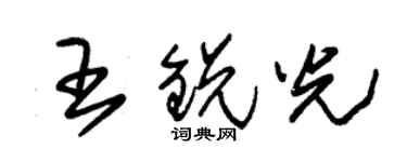 朱锡荣王锐光草书个性签名怎么写