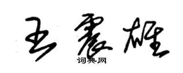 朱锡荣王震雄草书个性签名怎么写