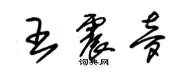 朱锡荣王震梦草书个性签名怎么写