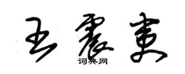 朱锡荣王震夷草书个性签名怎么写