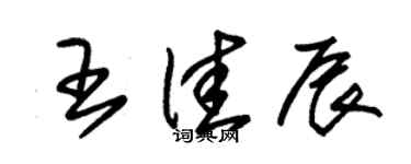 朱锡荣王佳辰草书个性签名怎么写