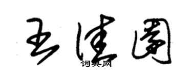 朱锡荣王佳园草书个性签名怎么写
