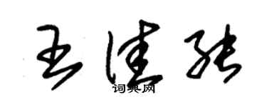 朱锡荣王佳能草书个性签名怎么写