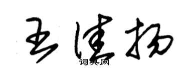朱锡荣王佳扬草书个性签名怎么写